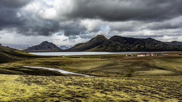 Comprendre le processus de diagnostic des maladies cardiaques